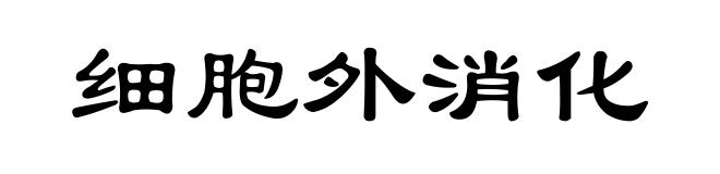 细胞外消化