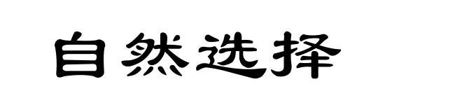 自然选择