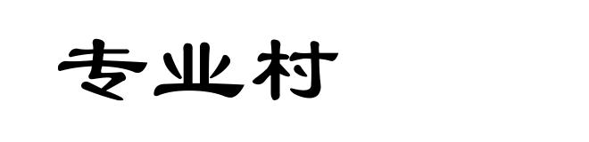 专业村