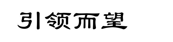 引领而望