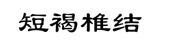 短褐椎结