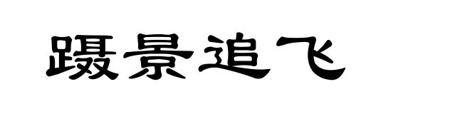 蹑景追飞