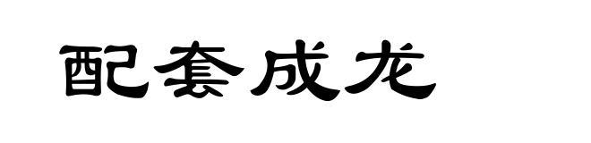 配套成龙