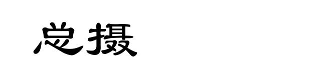 总摄