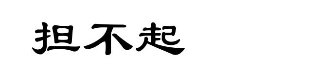 担不起