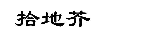 拾地芥