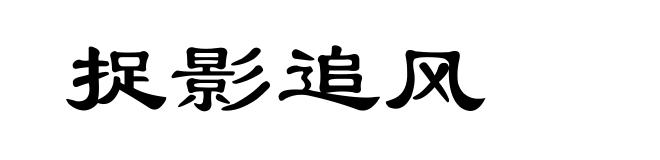 捉影追风