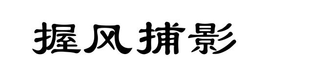 握风捕影