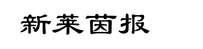 新莱茵报