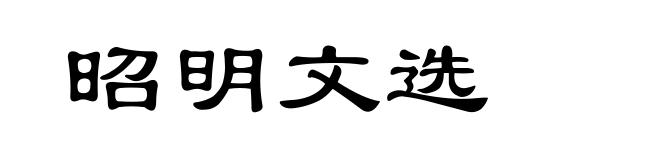昭明文选
