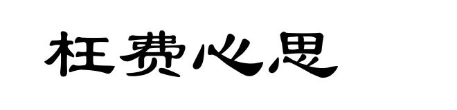 枉费心思