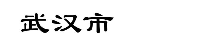 武汉市