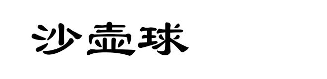 沙壶球
