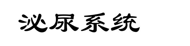 泌尿系统