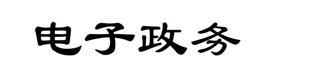 电子政务