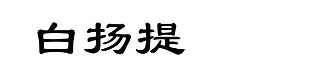 白扬提