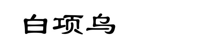 白项乌