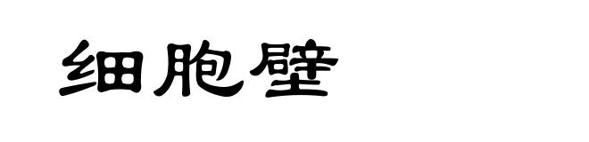 细胞壁