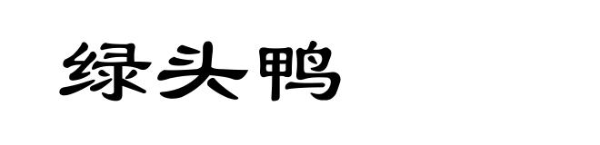 绿头鸭