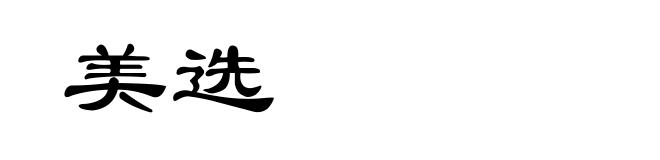 美选