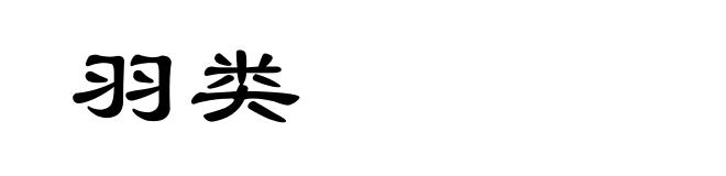 羽类