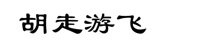 胡走游飞