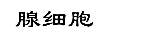腺细胞