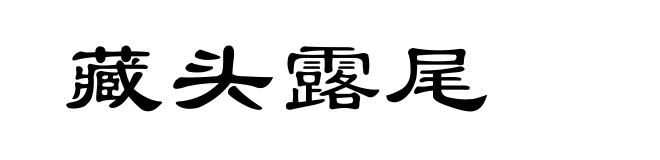 藏头露尾