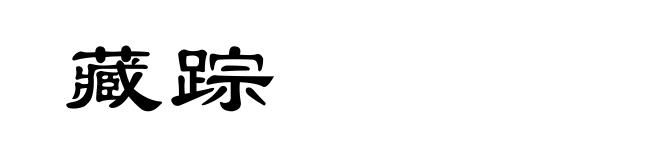藏踪