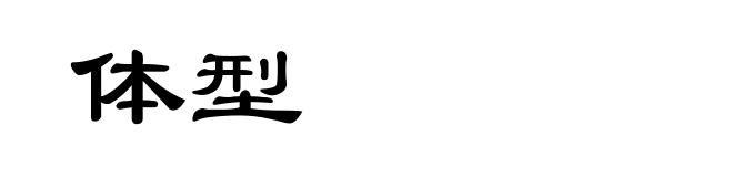 体型