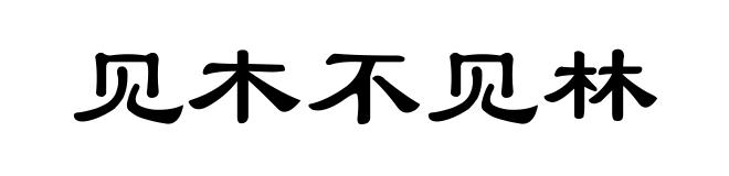 见木不见林