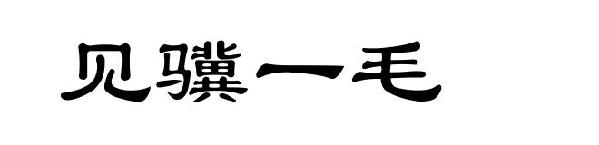 见骥一毛