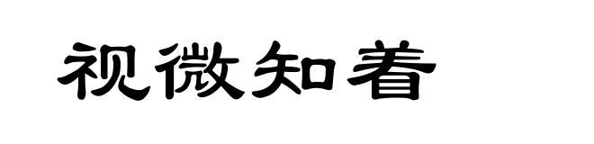 视微知着