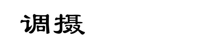 调摄