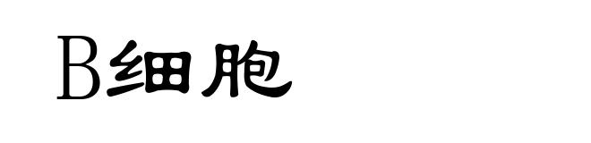B细胞