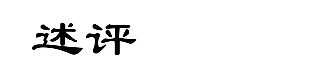 述评