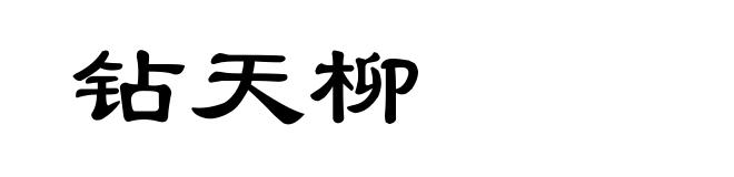 钻天柳