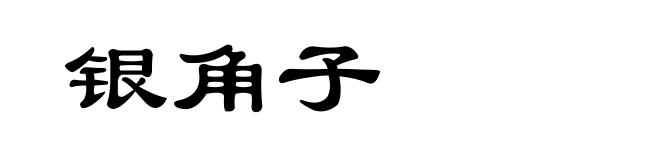 银角子