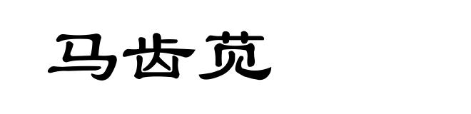 马齿苋
