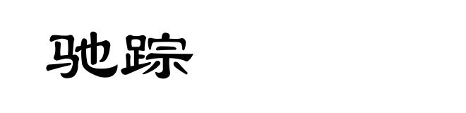 驰踪