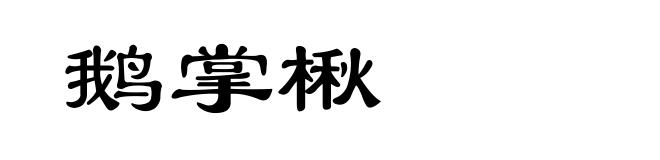 鹅掌楸