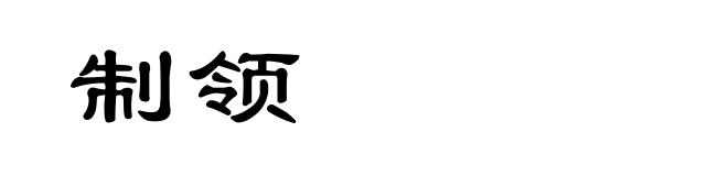 制领