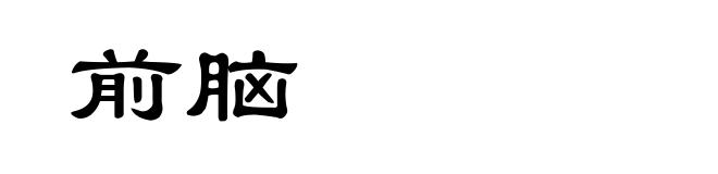 前脑