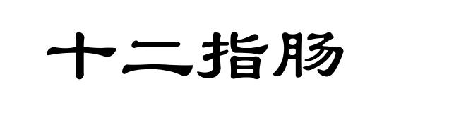 十二指肠