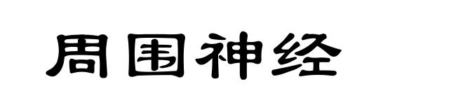 周围神经