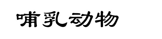 哺乳动物
