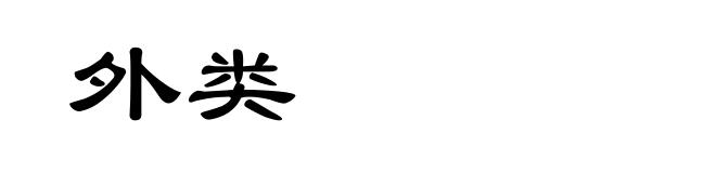 外类