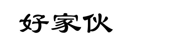 好家伙