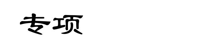 专项