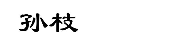 孙枝